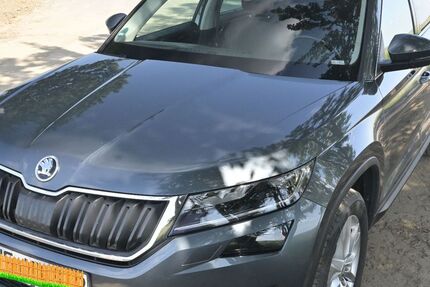 Skoda Kodiaq 138.500 km 20.000 &euro; Sickte / Apelnstedt 38173