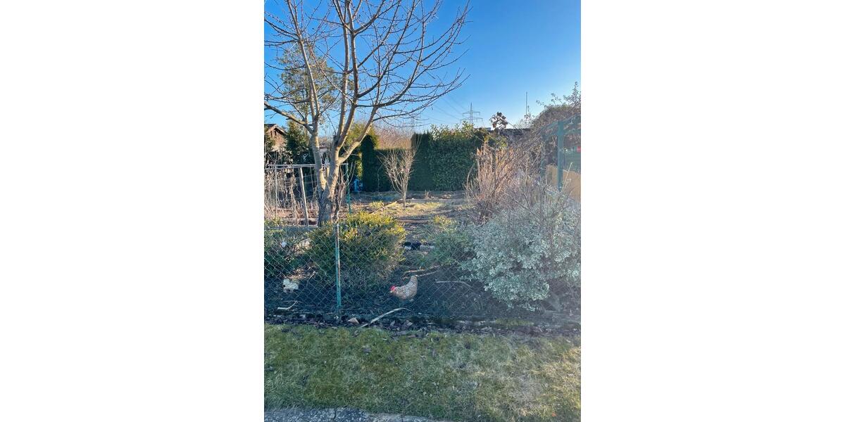 Grundstück Wolfsburg Detmerode - 3.500&euro; | Angebot:25412962