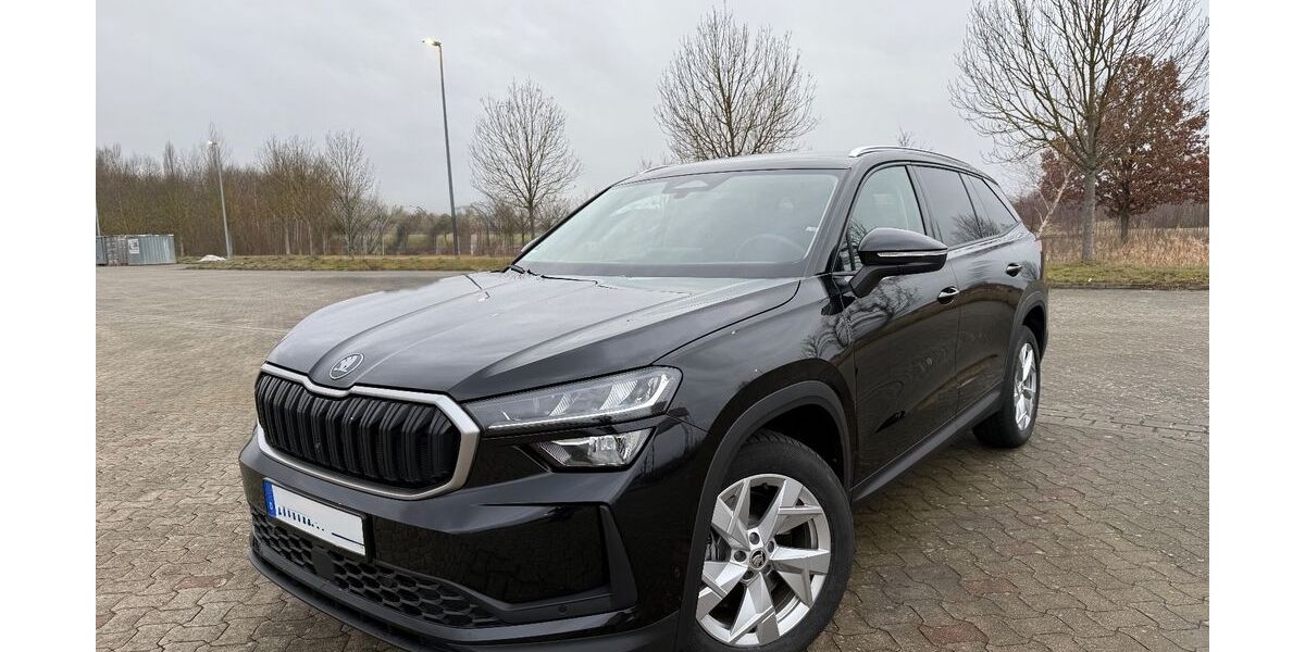 Skoda Kodiaq 2.000 km 44.900 &euro; Wolfsburg 38446