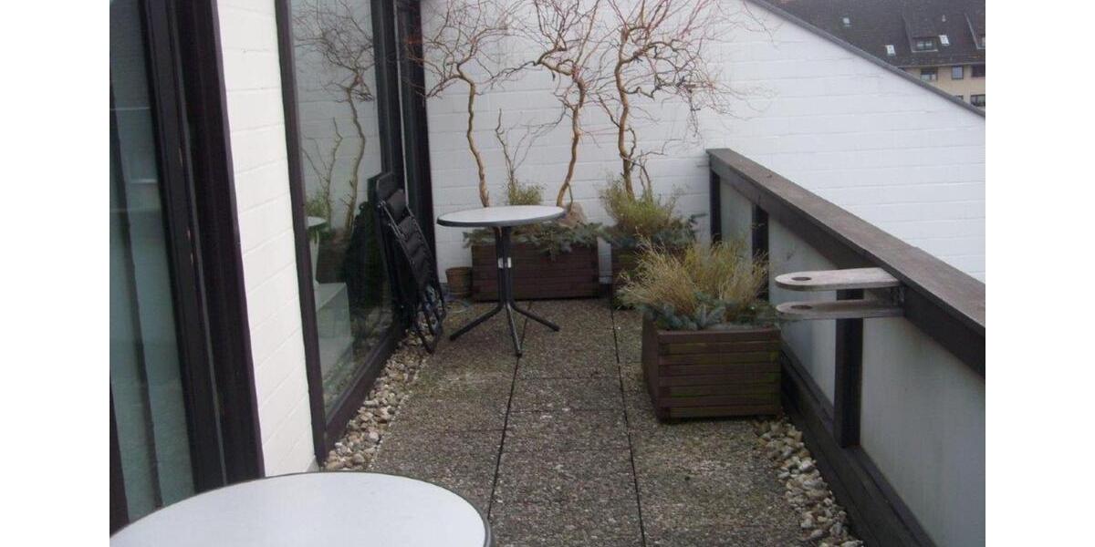 Helle Drei-Zimmer-Wohnung, großer Südwest-Dachterrasse in Gifhorn 3 zimmer