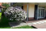Einfamilienhaus Wolfsburg Fallersleben - 7 Zimmer, 191 m&sup2;, 835.000&euro; | Angebot:26106077