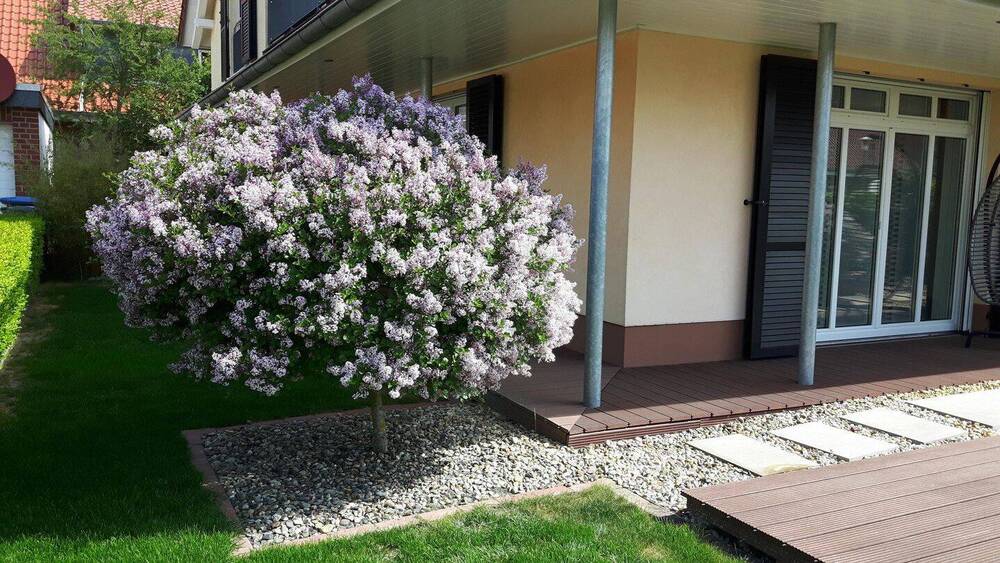 Einfamilienhaus Wolfsburg Fallersleben - 7 Zimmer, 191 m&sup2;, 865.000&euro; | Angebot:26106077