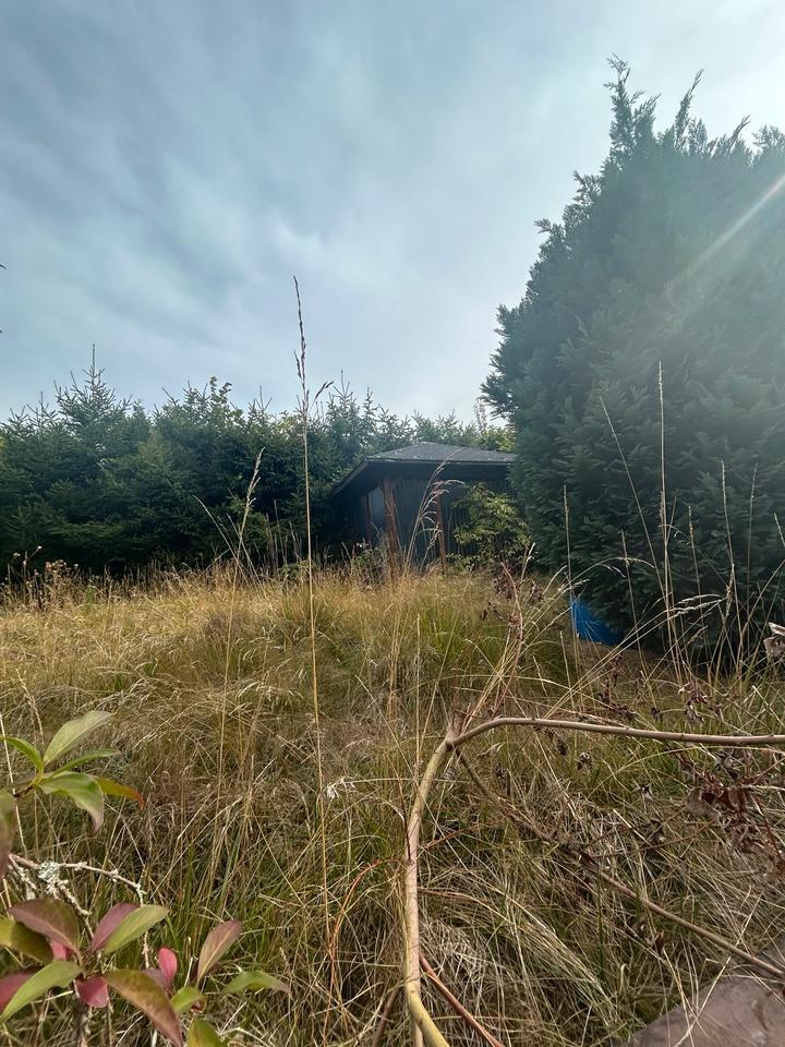 Einfamilienhaus ruhige Wohngegend
