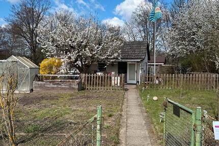 Grundstück Braunschweig Östliches Ringgebiet - 1.750&euro; | Angebot:26048459