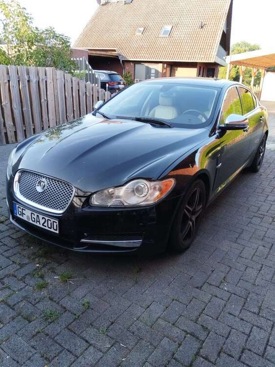 XF