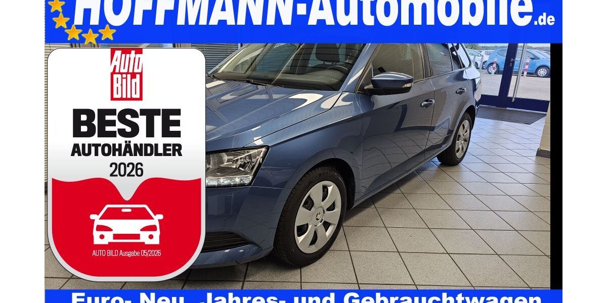 Skoda Fabia 93.592 km 11.900 &euro; Wolfsburg-Heiligendorf 38444