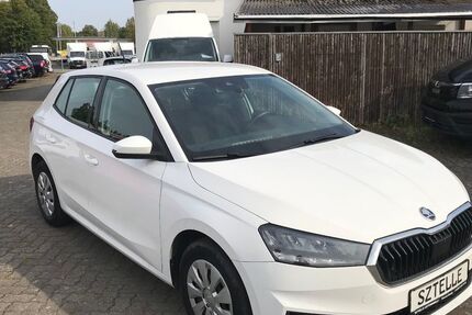 Skoda Fabia 224.889 km 8.999 &euro; Braunschweig 38110