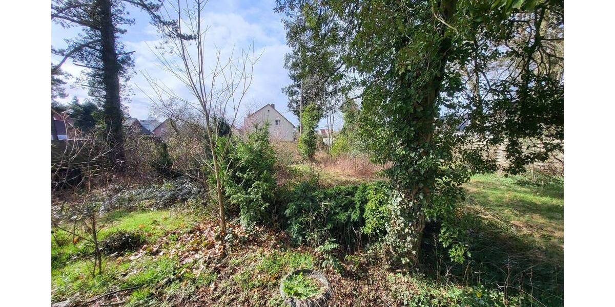 Einfamilienhaus Gifhorn - 6 Zimmer, 173 m&sup2;, 365.000&euro; | Angebot:26305888