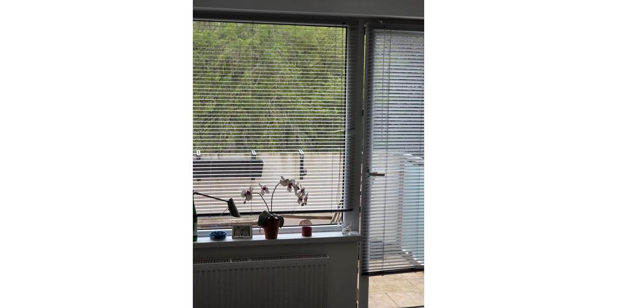 Dachgeschoßwohnung Braunschweig - 2 Zimmer, 47 m&sup2;, 540&euro; | Angebot:26634982