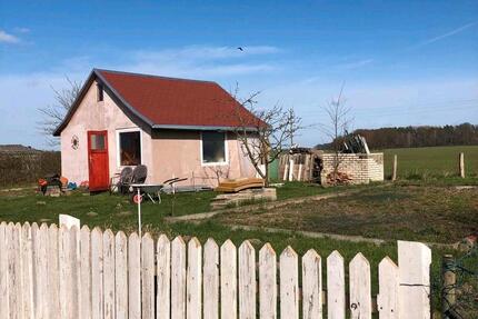 Kleingartenverein in Wedesbüttel zimmer