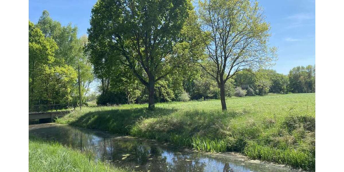 Grundstück in Bergfriede 440.000 € 358318 m² zimmer