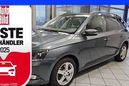 Skoda Fabia 124.800 km 11.900 &euro; Wolfsburg-Heiligendorf 38444