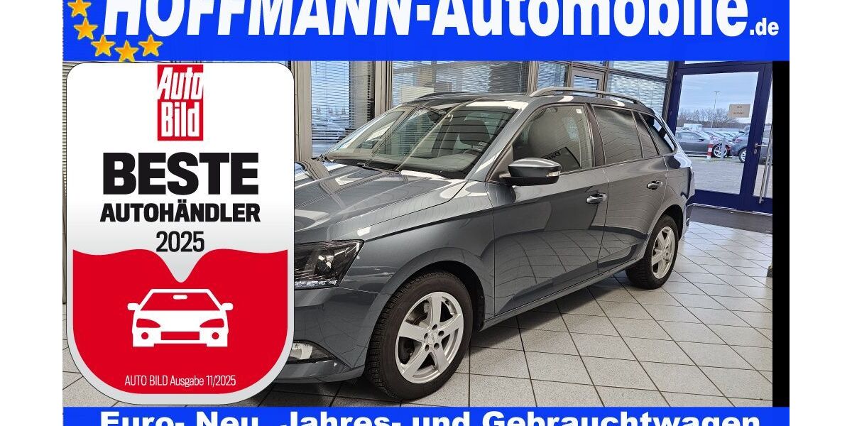 Skoda Fabia 124.800 km 11.900 &euro; Wolfsburg-Heiligendorf 38444