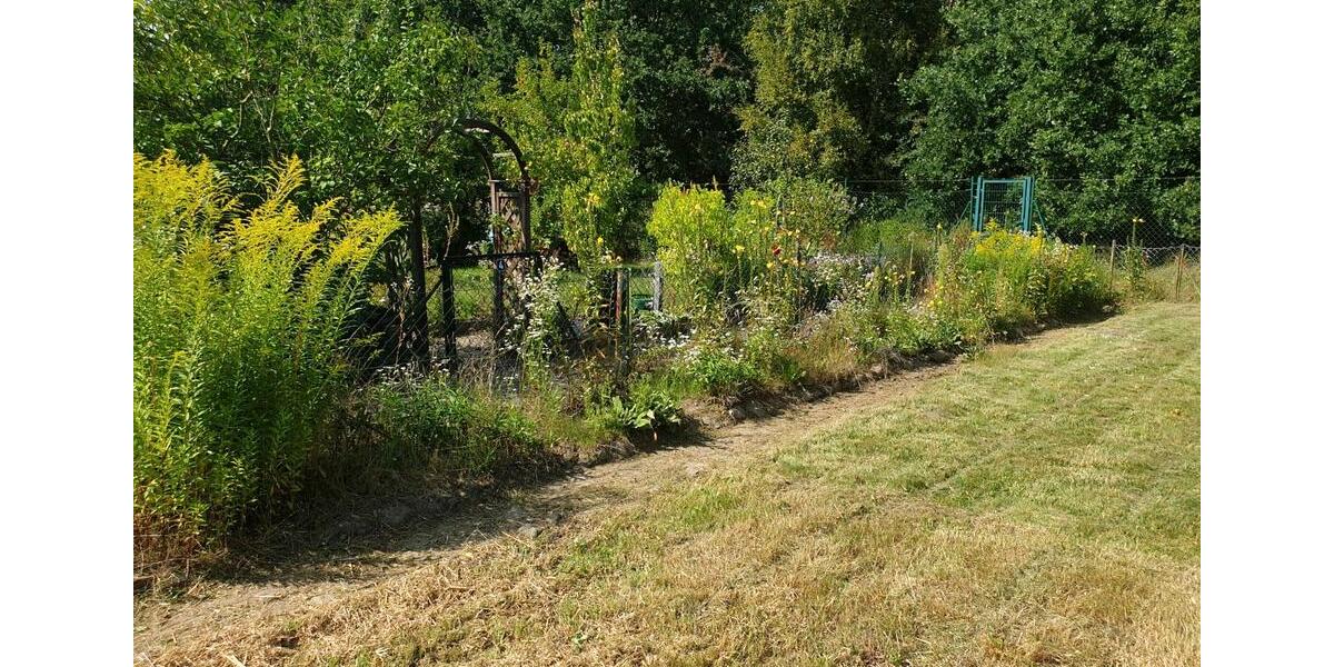 Grundstück Braunschweig Wabe-Schunter-Beberbach - 500&euro; | Angebot:26453858