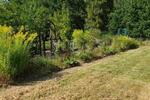 Grundstück Braunschweig Wabe-Schunter-Beberbach - 500&euro; | Angebot:26453858