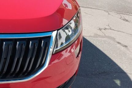 Skoda Karoq 110.339 km 22.000 &euro; Wendeburg 38176