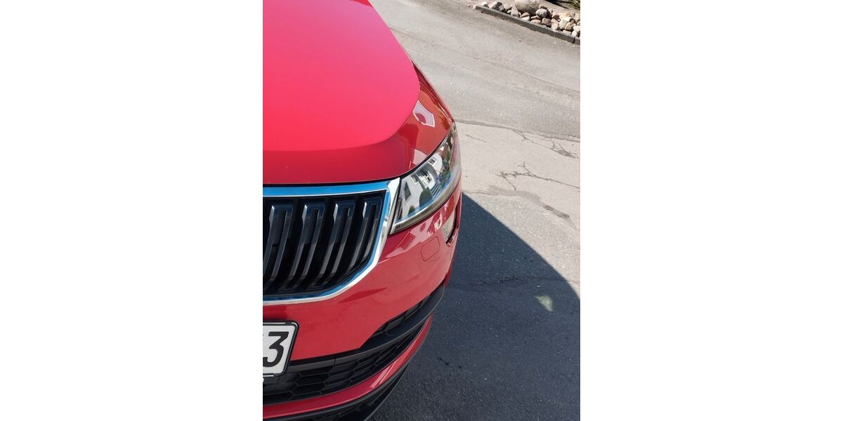 Skoda Karoq 110.339 km 22.000 &euro; Wendeburg 38176