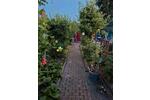 Grundstück Braunschweig Heidberg-Melverode - 2.100&euro; | Angebot:26649909