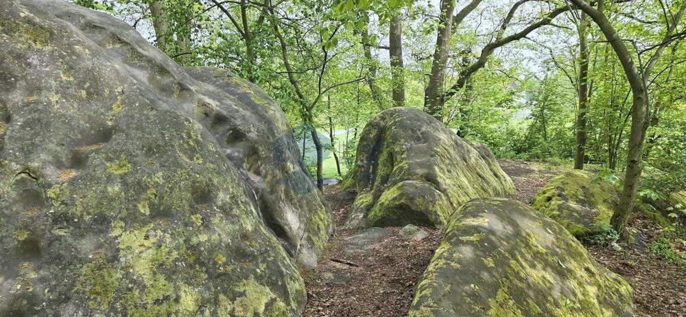 Etagenwohnung Wolfsburg Hohenstein - 2 Zimmer, 52 m&sup2;, 366&euro; | Angebot:25679881