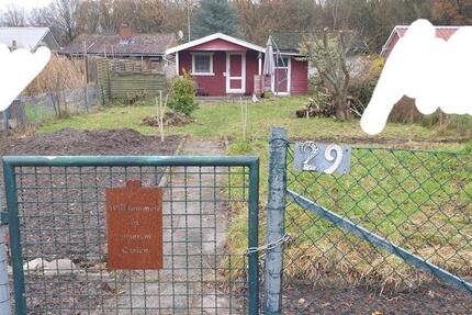 Grundstück Gifhorn - 1.000&euro; | Angebot:24988678