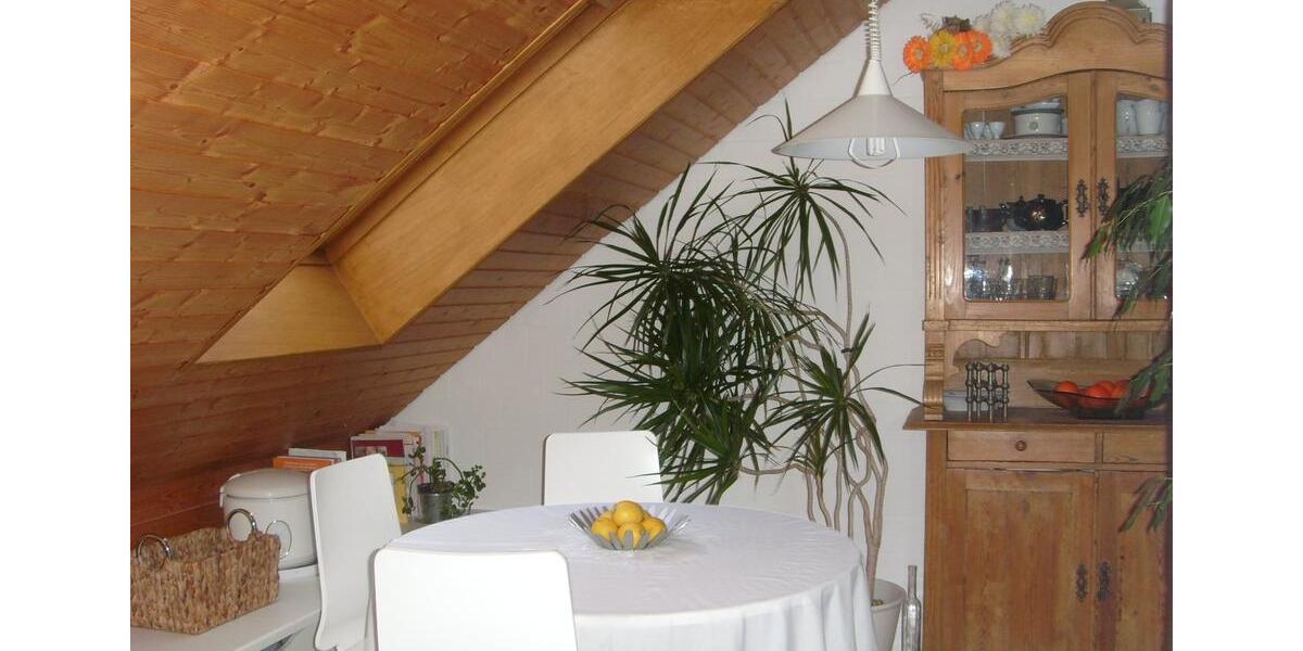 Helle Drei-Zimmer-Wohnung, großer Südwest-Dachterrasse in Gifhorn 3 zimmer