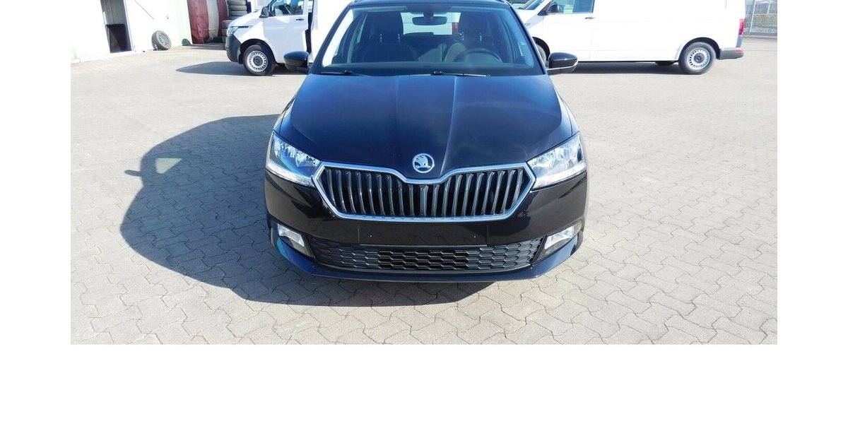 Skoda Fabia 1.0 Kombi Ambition TSI BMT Navi Klima 19.900 km 15.390 &euro; Vordorf 38533