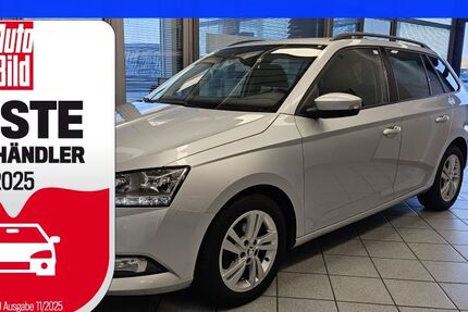 Skoda Fabia 122.227 km 11.700 &euro; Wolfsburg-Heiligendorf 38444