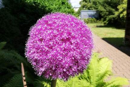 Gewerbeobjekt Wolfenbüttel Stadtgebiet | Angebot:25290616