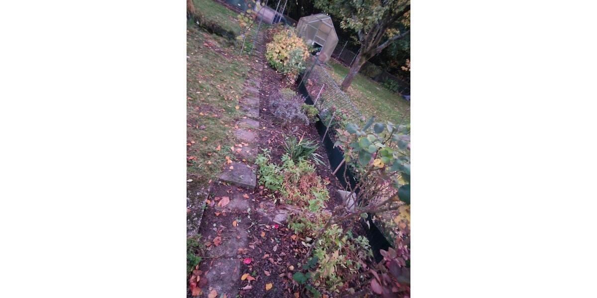 Grundstück Braunschweig Heidberg-Melverode - 500&euro; | Angebot:22984320