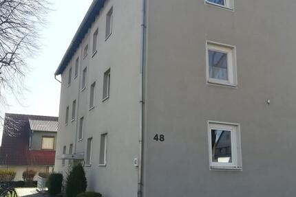 Frisch saniert, das ist garantiert! 3 zimmer