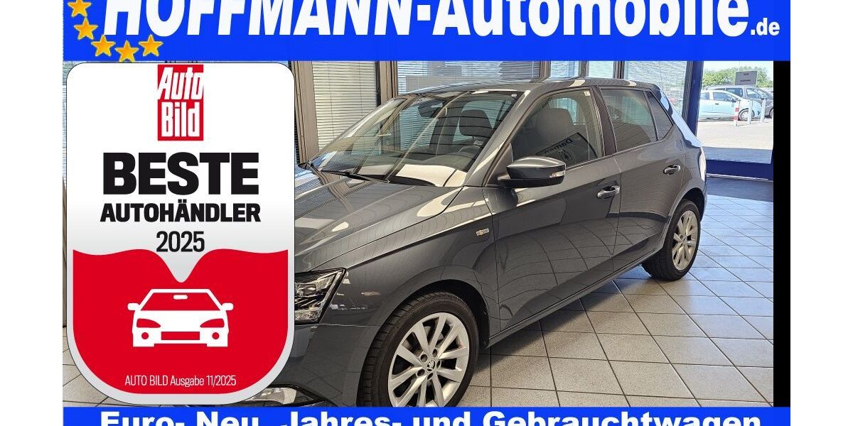 Skoda Fabia 75.000 km 12.850 &euro; Wolfsburg-Heiligendorf 38444