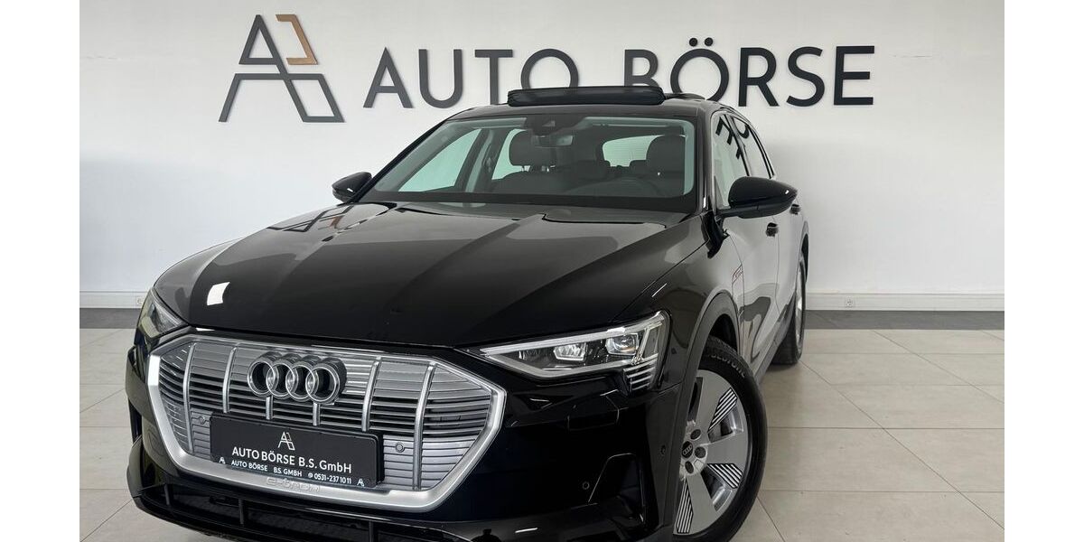 Audi e-tron 30.200 km 29.890 &euro; Braunschweig 38114