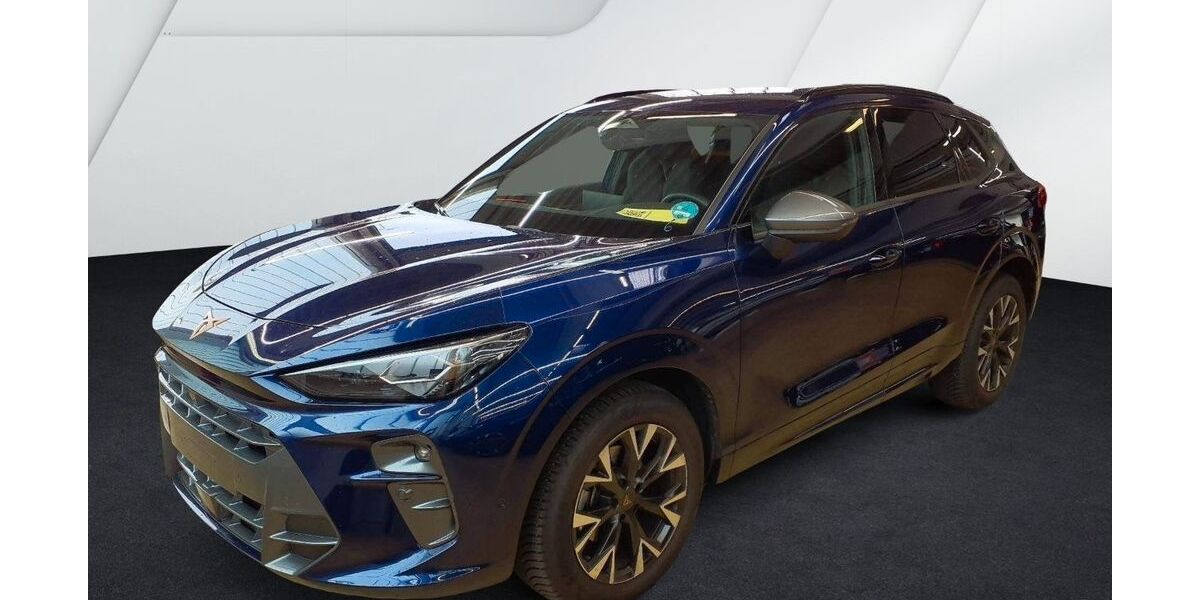 Cupra Terramar 17.000 km 36.780 € Helmstedt 38350