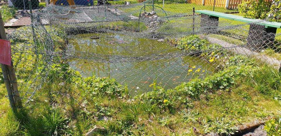 Grundstück Gifhorn - 3.400&euro; | Angebot:26419428