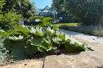 Bungalow Velpke - 5 Zimmer, 211 m&sup2;, 673.000&euro; | Angebot:27083454