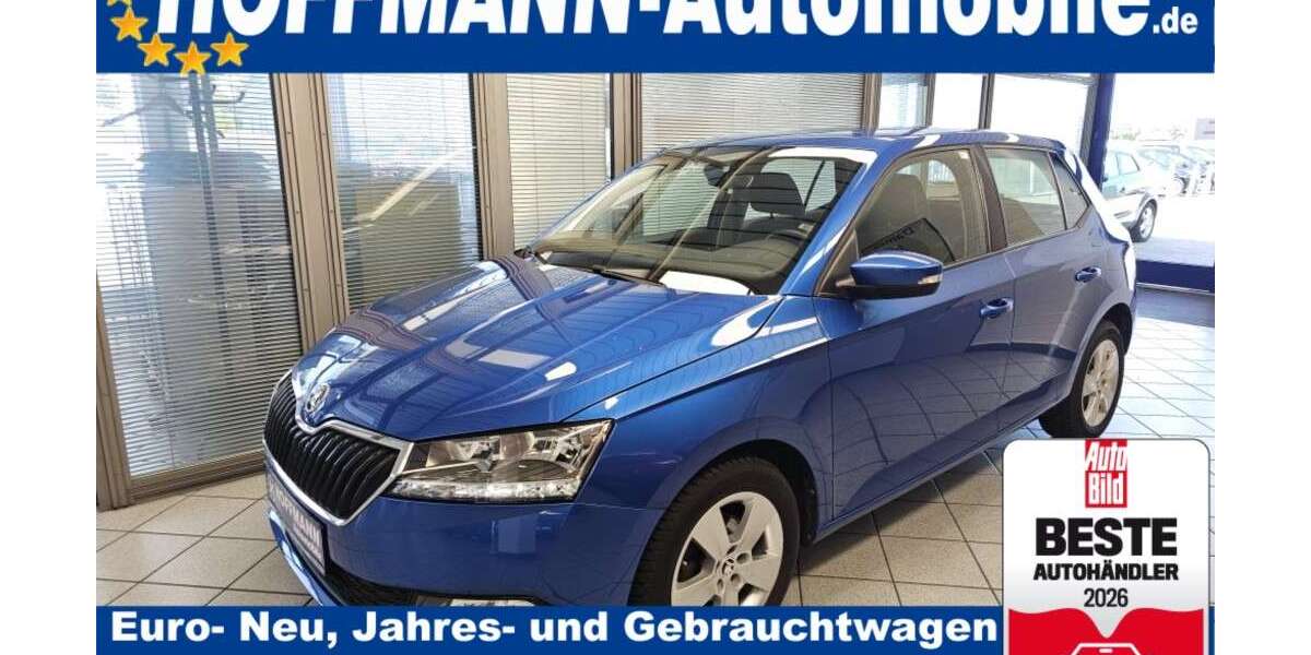 Skoda Fabia 79.800 km 10.900 &euro; Wolfsburg Heiligendorf 38444