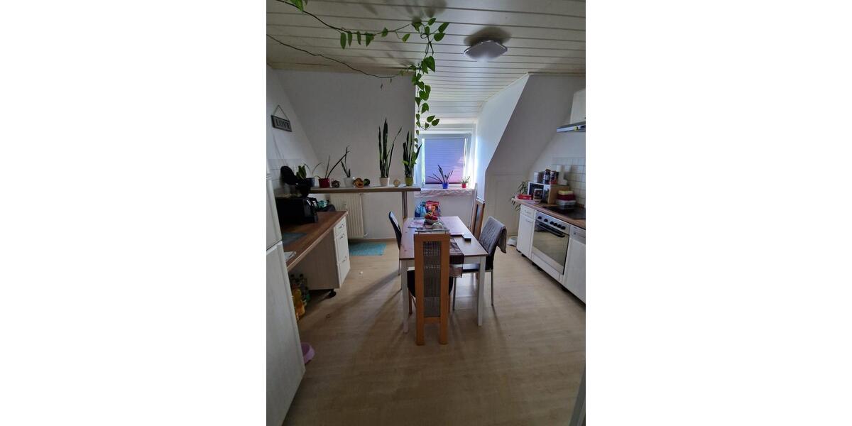 Dachgeschoßwohnung Bahrdorf - 2 Zimmer, 50 m&sup2;, 365&euro; | Angebot:26702123