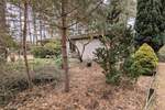 Bungalow Gifhorn - 4 Zimmer, 156 m&sup2;, 375.000&euro; | Angebot:25747702