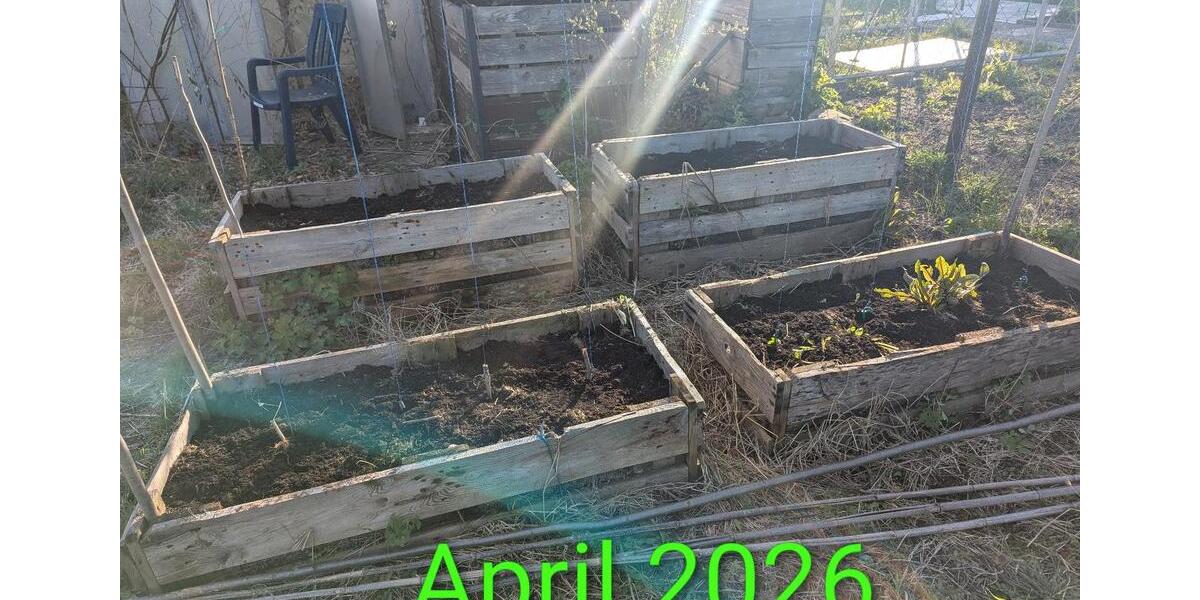 Grundstück Wolfsburg Detmerode - 550&euro; | Angebot:26258125