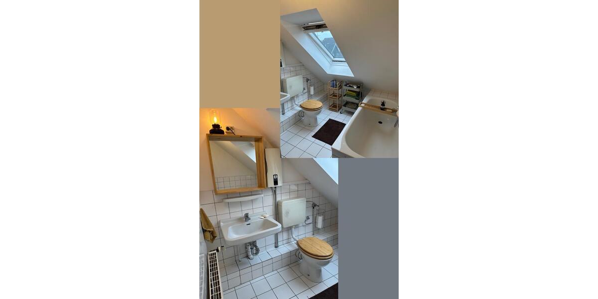 Dachgeschoßwohnung Braunschweig Westliches Ringgebiet - 1 Zimmer, 36 m&sup2;, 480&euro; | Angebot:26662501