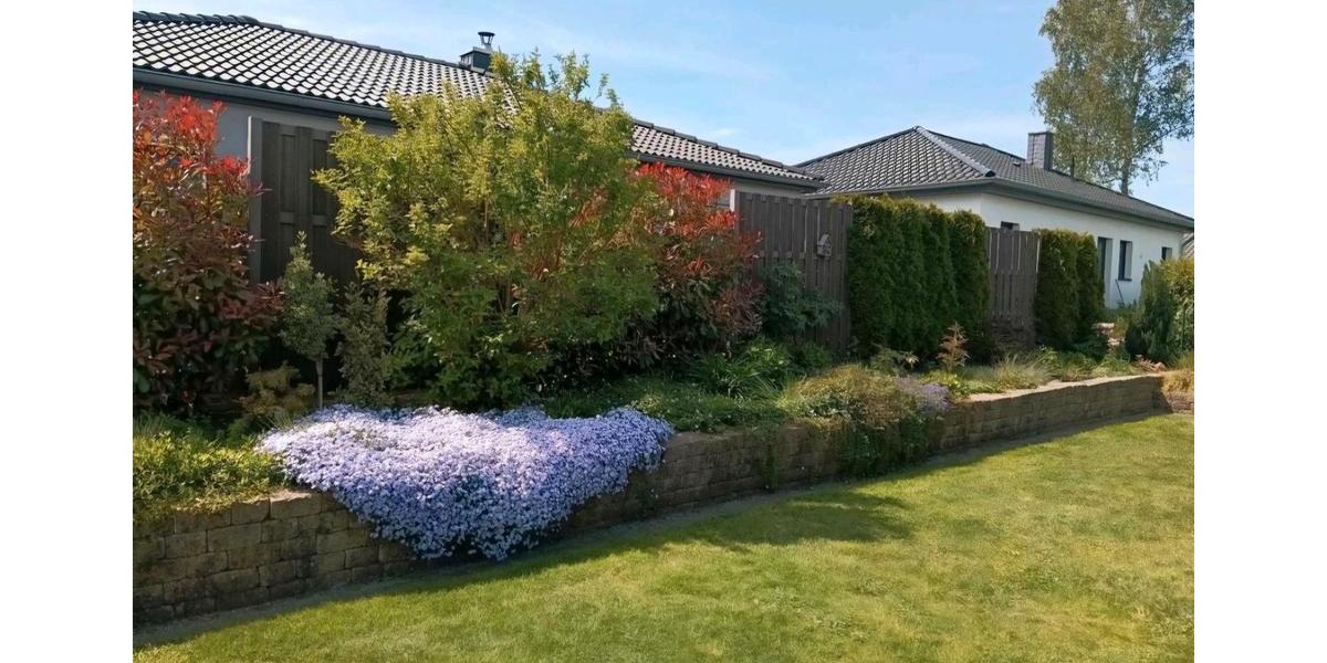 Bungalow Sassenburg - 4 Zimmer, 115 m&sup2;, 335.000&euro; | Angebot:24245004