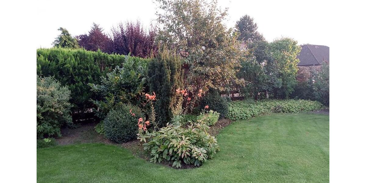 Doppelhaushälfte Wolfsburg Almke - 4 Zimmer, 136 m&sup2;, 1.500&euro; | Angebot:26047174