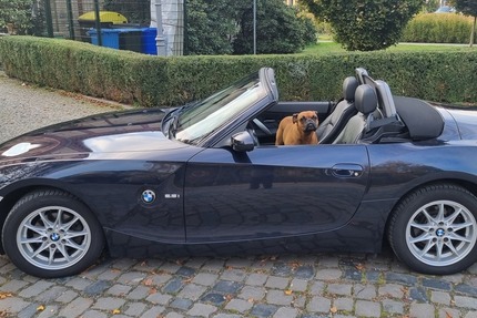 BMW Z4 Cabrio 2.5i,Leder,Business,Garanti,1A Zustand