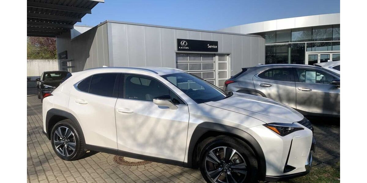 Lexus UX 14.089 km 31.980 € Braunschweig 38114