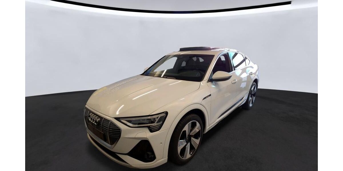 Audi e-tron 119.317 km 25.990 &euro; Braunschweig 38122