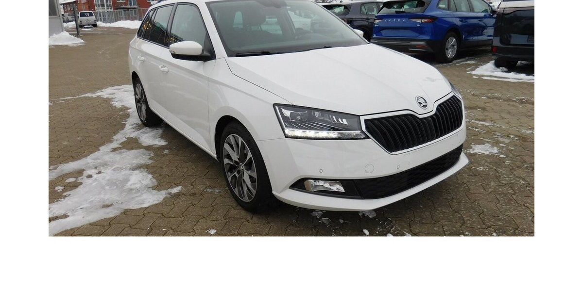 Skoda Fabia 1.0 Ambition TSI BMT Navi Klima 31.200 km 15.990 &euro; Vordorf 38533