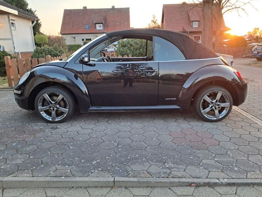 Beetle