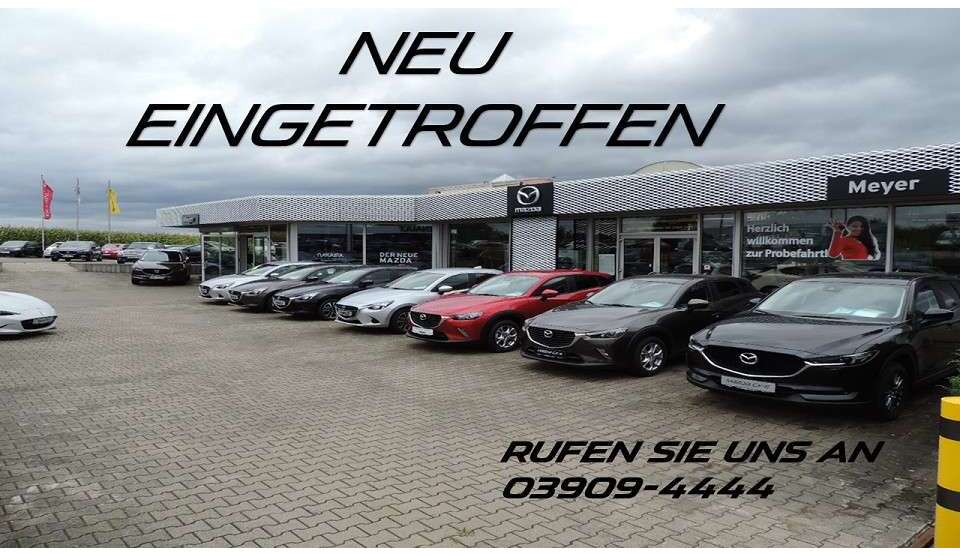 Koleos