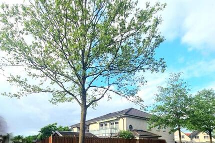 Wohnung Wolfsburg Almke - 5 Zimmer, 127 m&sup2;, 280.000&euro; | Angebot:26169042