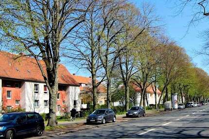 Wohnung Braunschweig Lehndorf - 1 Zimmer, 27 m&sup2;, 253&euro; | Angebot:27408734